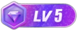 LV5 等级-LV5-回想盒