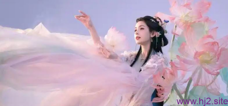 图片[2]-IDM 6.43.3绿色版-回想盒
