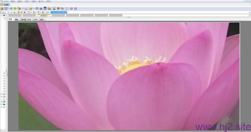 图像查看和编辑软件 XnView v2.52.7 中文绿色便携全功能扩展企业版-回想盒